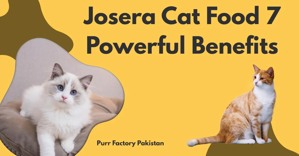 Josera Cat Food 7 Powerful Benefits