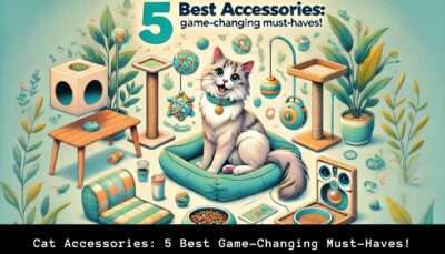 Cat Accessories: 5 Best Game-Changing Must-Haves!