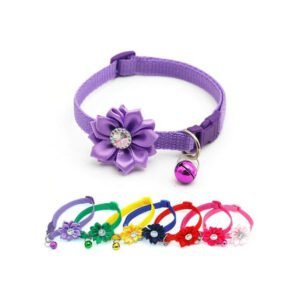 Fancy Cat Collars