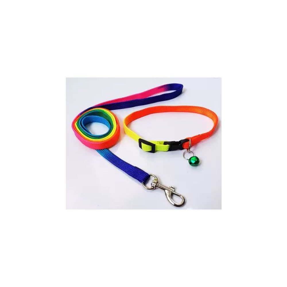Rainbow Leash with Collar