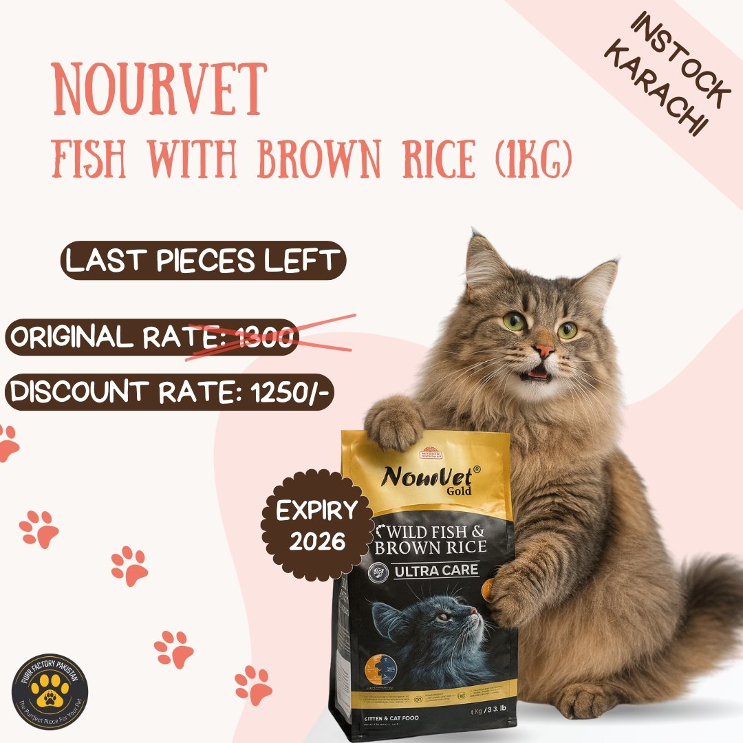 Nourvet Fish Dry Food(Adult Cats & Kitten) 1KG