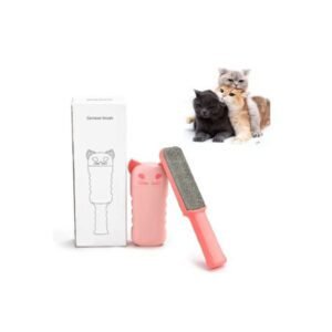 Fancy Imported Lint Brush Kit