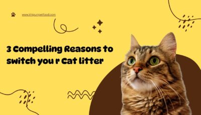 3 Compelling Reasons to Switch Your Cat Litter