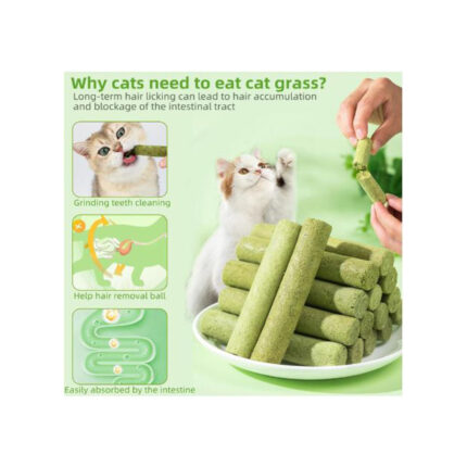 Grass Catnip Sticks(6 Sticks in 1 pack)