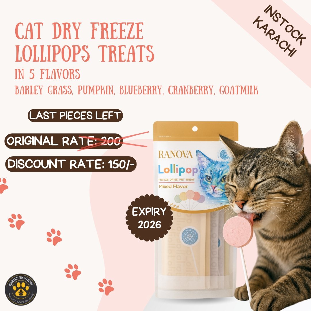 Freeze Dried Lollipops Treats For Cats