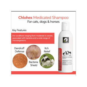 F/B Chlohex Shampoo 120ml