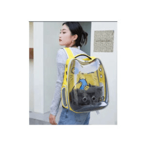 Cats Fancy Carry Bag