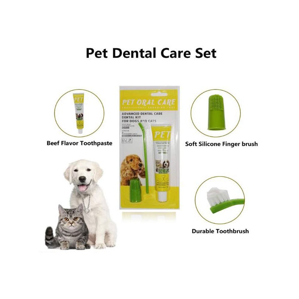 Pets Dental Care Set