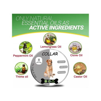Flea & Tick collar for Cats & Kitten( 8 Months Protection)