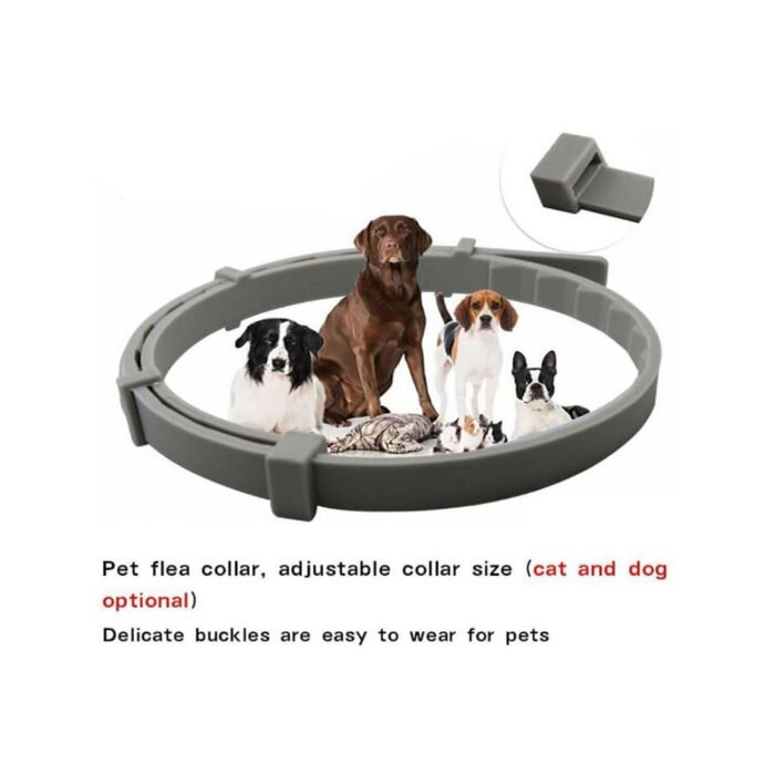 Flea & Tick collar for Cats & Kitten( 8 Months Protection) - Image 3