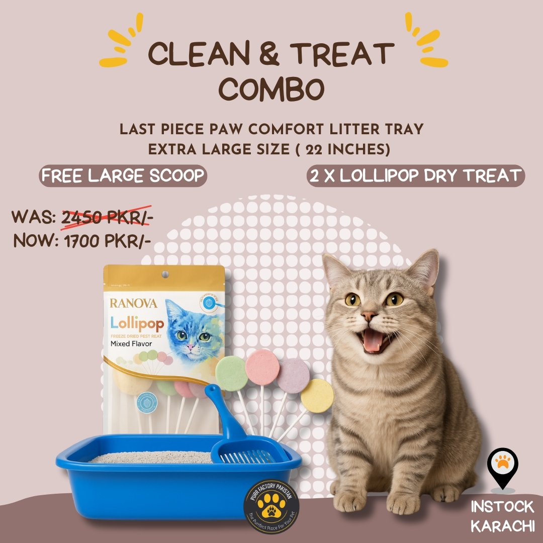 Bundle Offer: Extra Large Pawcomfort 22 inches Litter Tray + FREE  Large Scoop + FREE 2 Lollipops