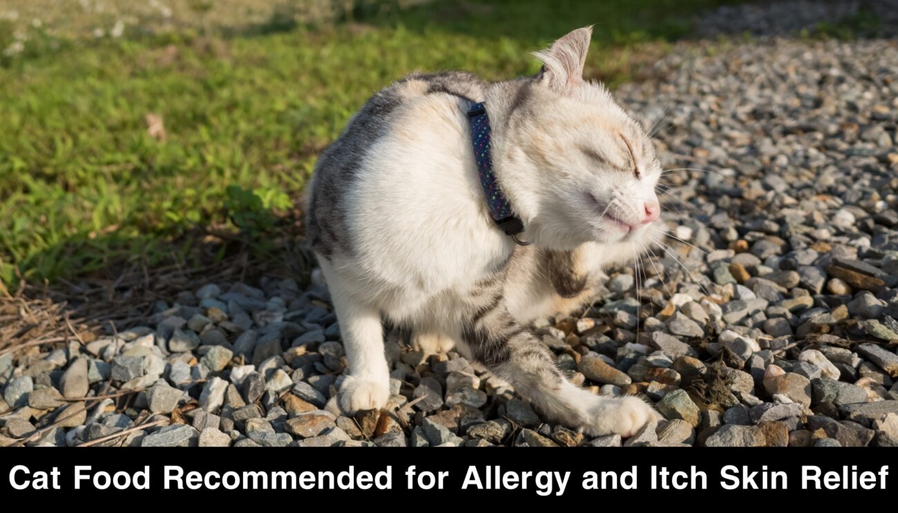 Cat Food Recommended for Allergy and Itch Skin Relief