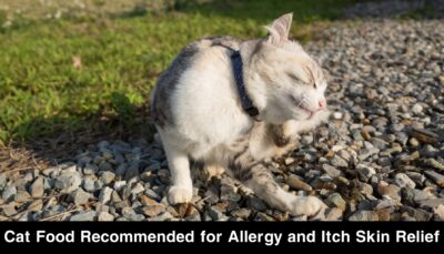 Cat Food Recommended for Allergy and Itch Skin Relief