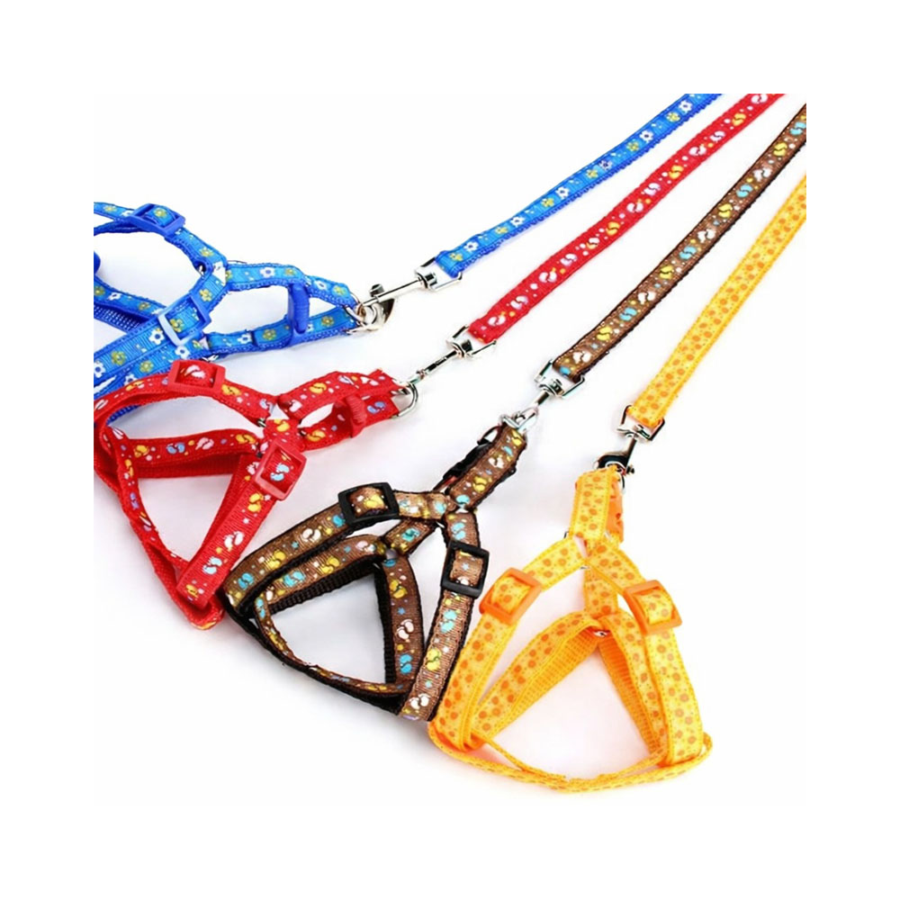 Cat & Kitten Multicoloured Adjustable Leashes