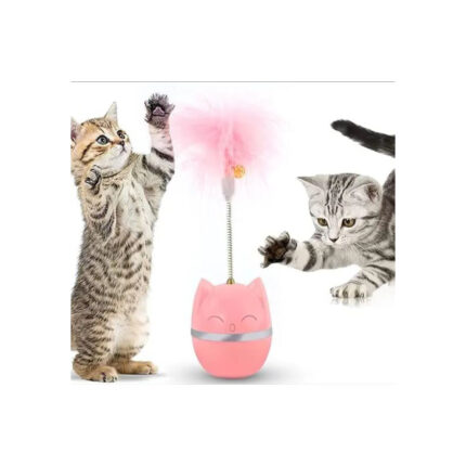 Balancing Cat toy ball