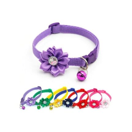 Fancy Cat Collars