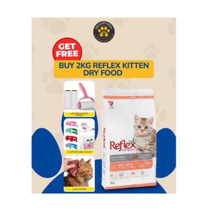 Reflex Kitten (Chicken & Rice) 2Kg with Lint Roller/Refill/Cat Collar & Knot Cutter