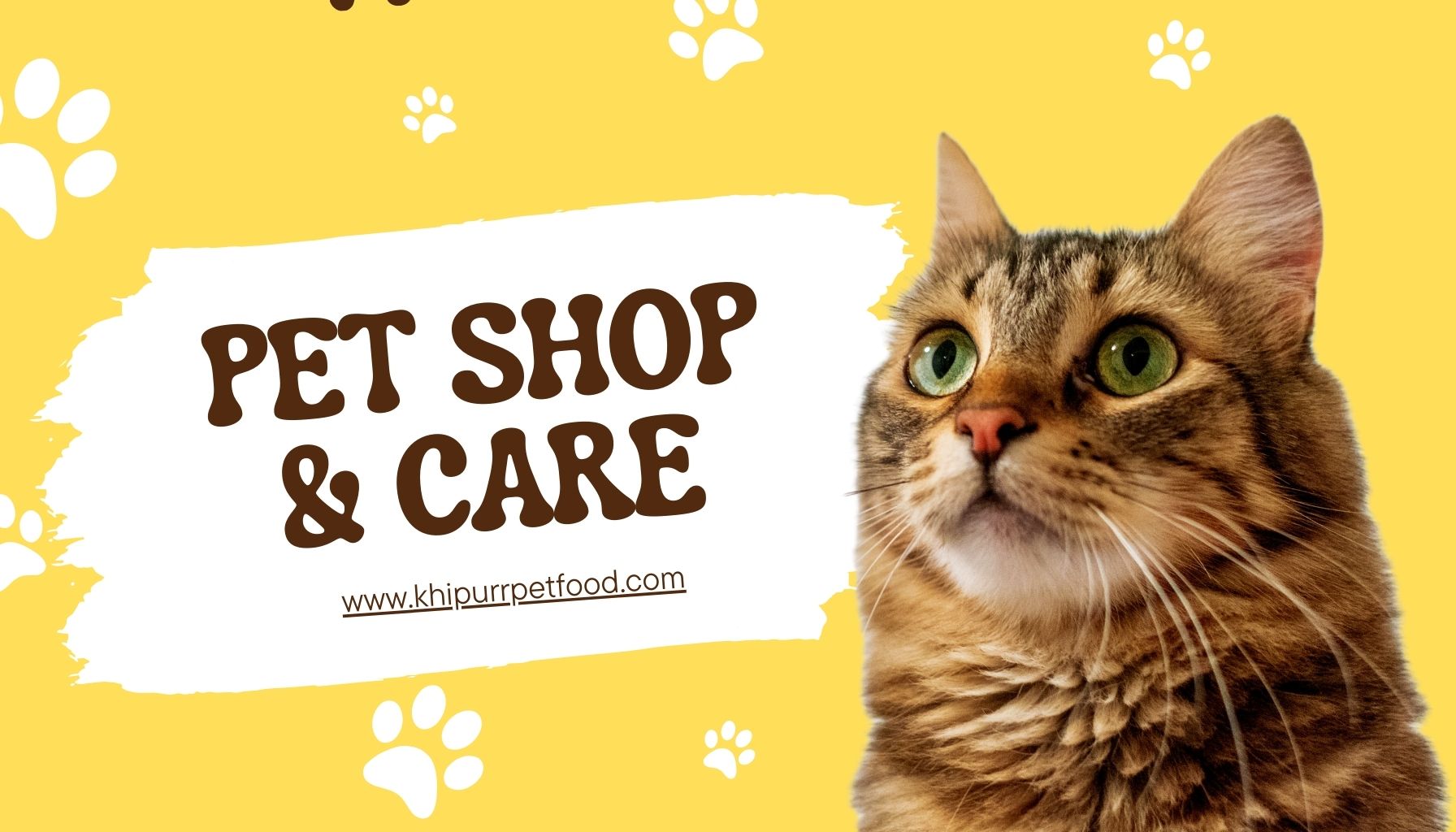 CTA 2 PurrFactory-Cat Dewormer: 5 Powerful Solutions for a Healthier Cat!