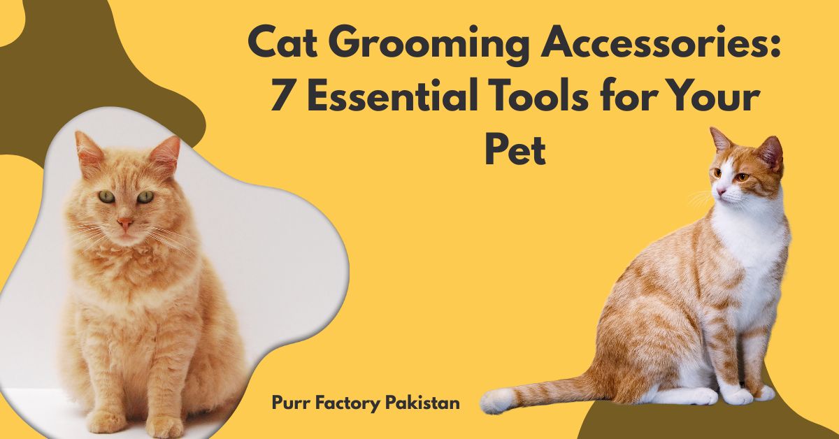 Cat Grooming Accessories 7 Essential Tools for Your Pet