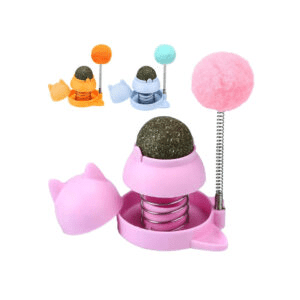 Catnip Spring Toy