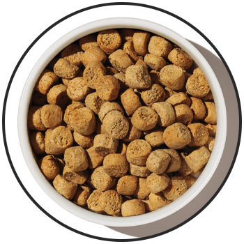 Premium Dry Pet Food for Cats and Dogs