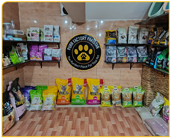 Premium cat food products for healthy cats in Karachi