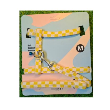 Fancy Harness with Leash