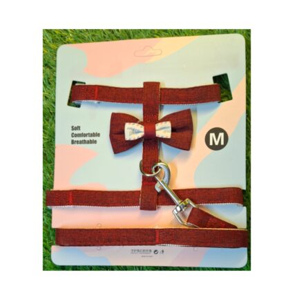 Fancy Bow Harness with Leash