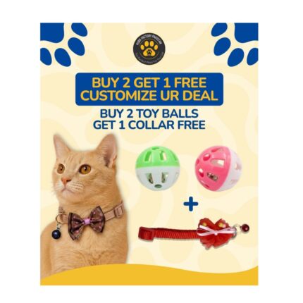 Offer: Buy 2 Toy Balls & Get 1 Cat Collar Free