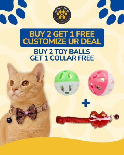 Offer: Buy 2 Toy Balls & Get 1 Cat Collar Free