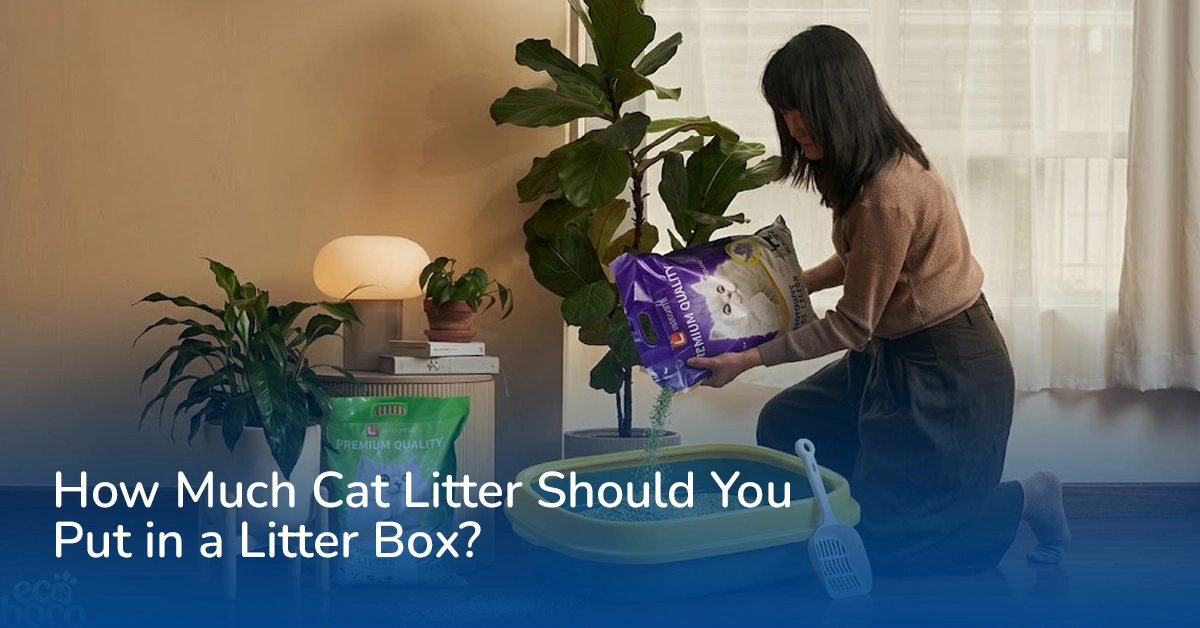 How Much Cat Litter Should You Put in a Litter Box?