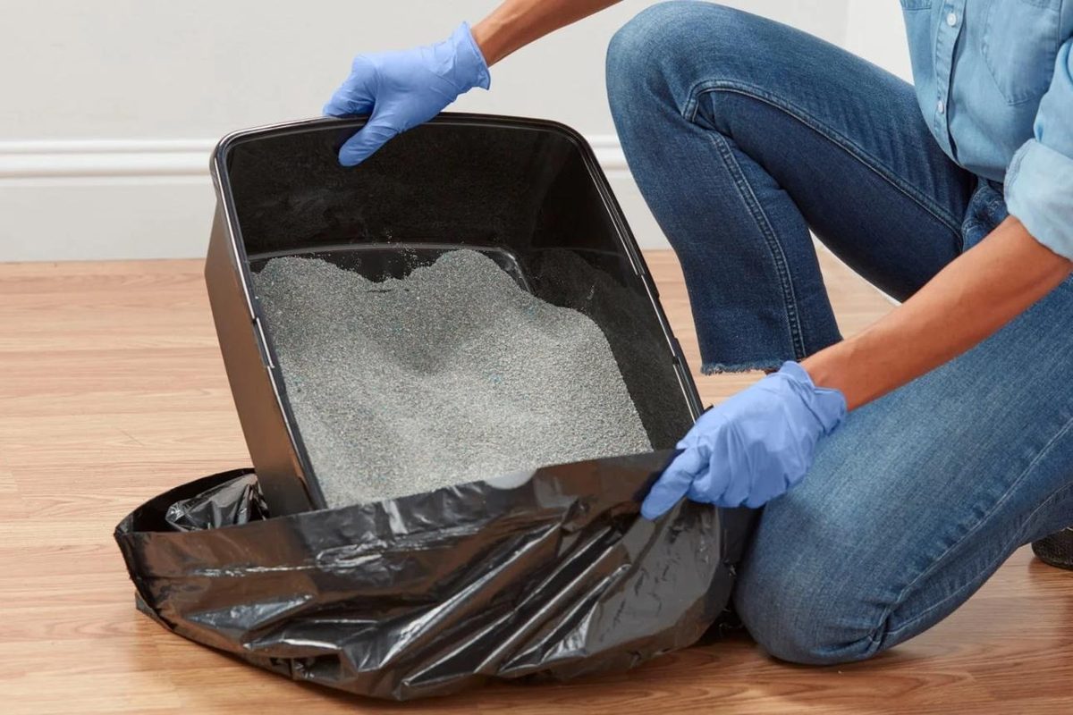 Remove the Used Cat Litter