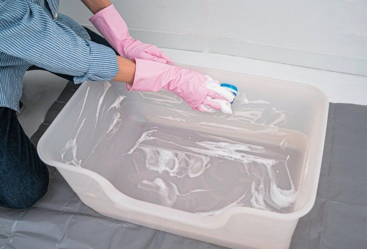 Wash the Empty Tray