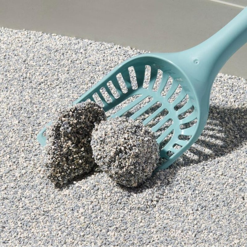 Remove the Used Litter