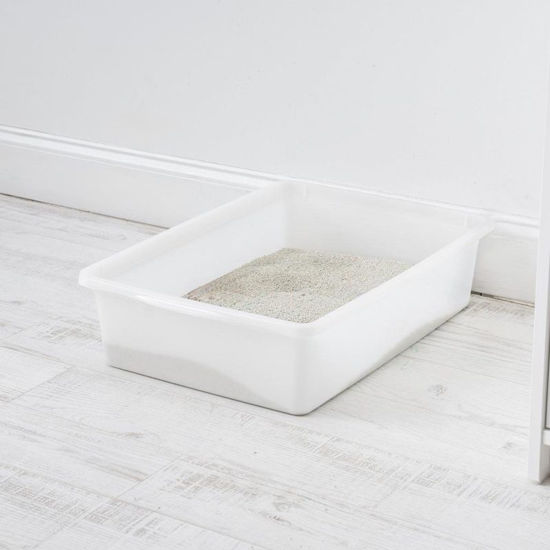 Start With a Clean Litter Box